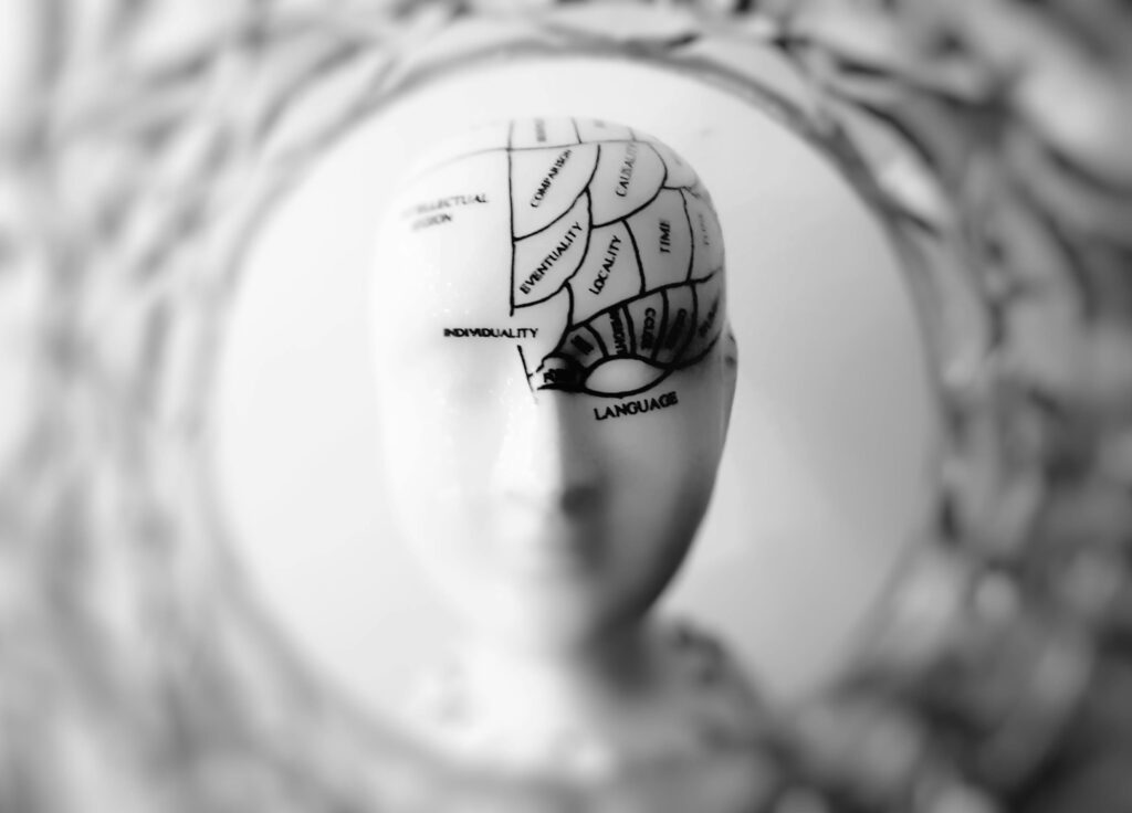 neuroplasticity